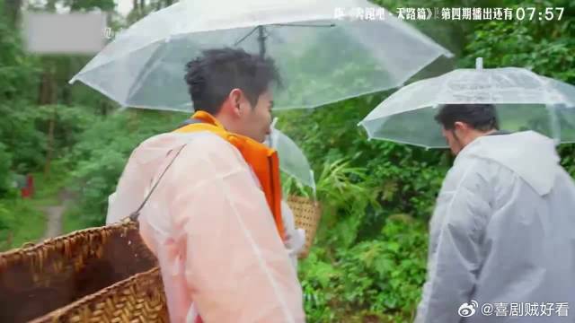 翟子路的偏爱明目张胆！给白鹿拍照太宠，完全不管张真源