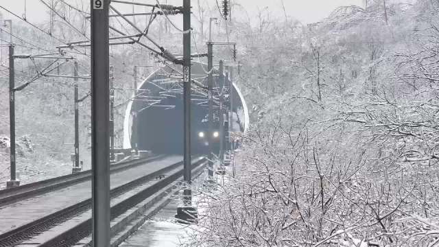 记者现场评丨奋进“十五五” 向着春天出发