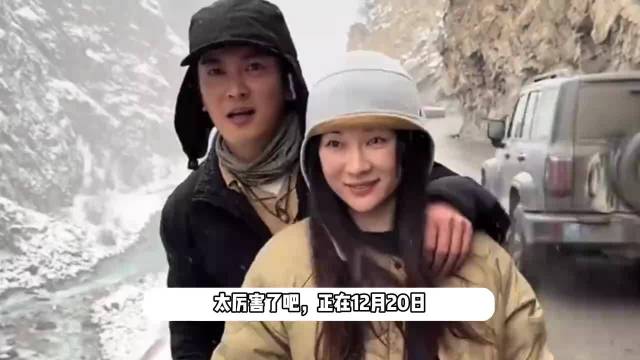 霍思燕带爱犬参加国际比赛夺冠,穿红色旗袍宣传中国文化,杜江称为其骄傲