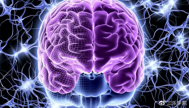 人类大脑相当于多少台电脑？存储能力20T，能耗极低-人类的大脑内存有多大