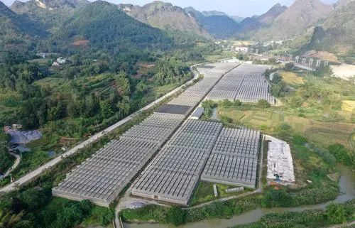 金融时报评出2021年中国保险十大新闻休闲区蓝鸢梦想 - Www.slyday.coM 金融时报评出2021年中国保险十大新闻休闲区蓝鸢梦想 - Www.slyday.coM