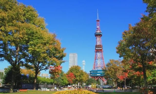 北海道美食全方位攻略 一条吃货的极限逛吃线路