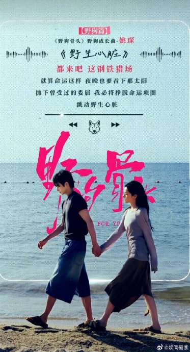 《野狗骨头》电视剧OST阵容有哪些歌手？