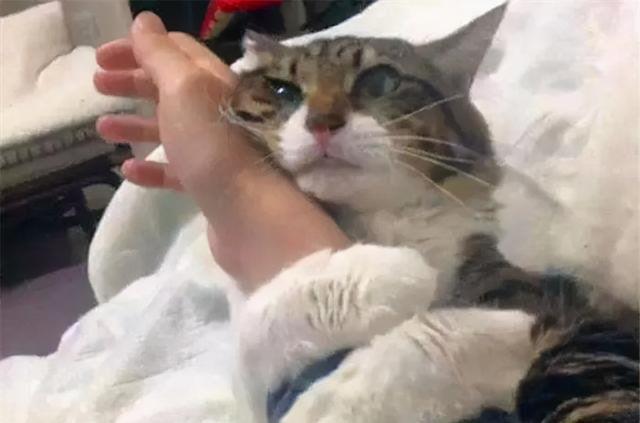 恋爱黏人正常吗 恋爱中黏人的表现有哪些