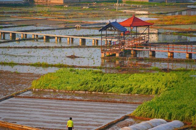 丽江美食排行_强烈推荐!丽江这个美食宝地,值得为了吃而奔赴