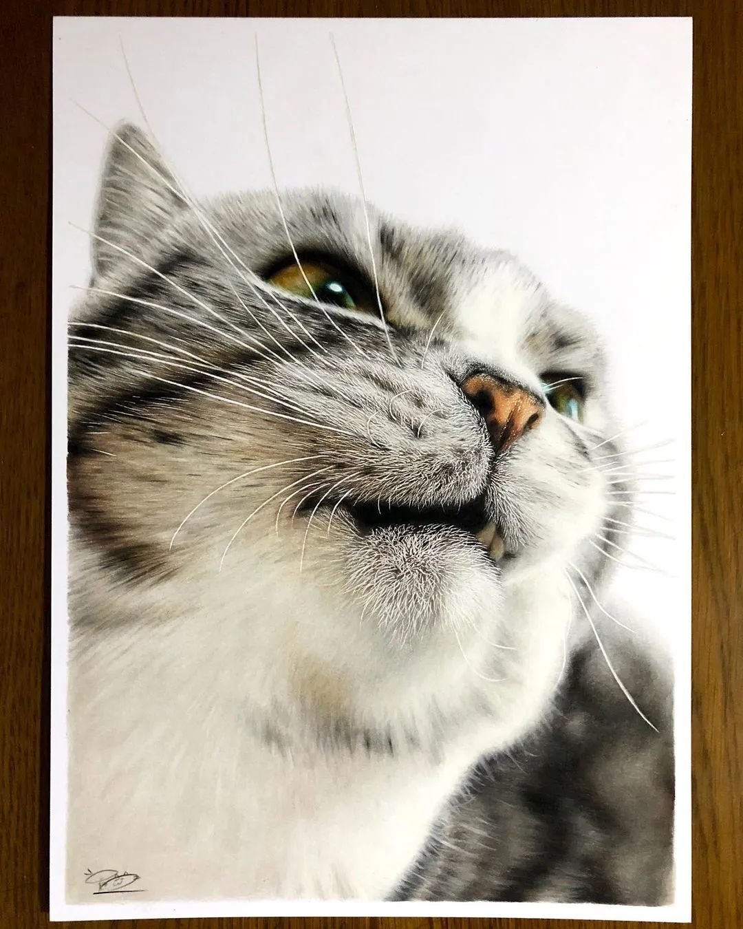 20岁小伙用彩铅，画出超写实的猫，网友：真想摸上一把