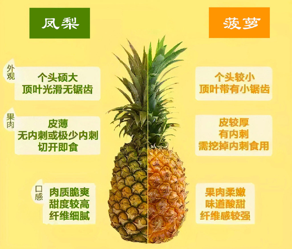万网怎么解析二级域名