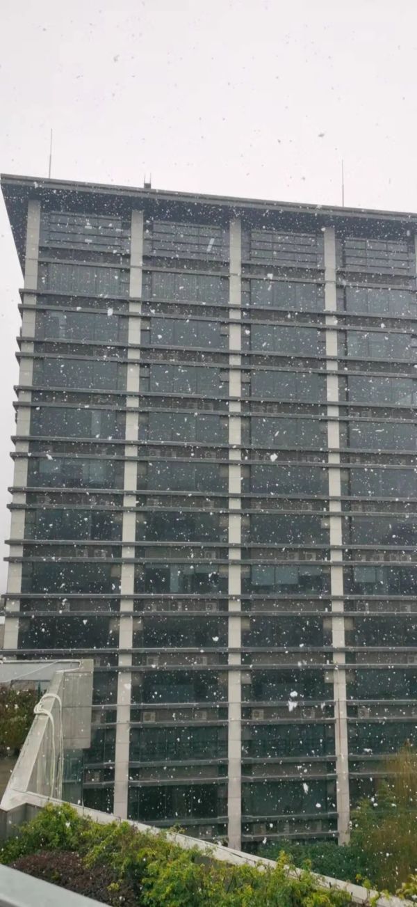上海真的要下雪了!网友:不要雨、不要雨夹雪,只要纯雪可以吗?休闲区蓝鸢梦想 - Www.slyday.coM 上海真的要下雪了!网友:不要雨、不要雨夹雪,只要纯雪可以吗?休闲区蓝鸢梦想 - Www.slyday.coM