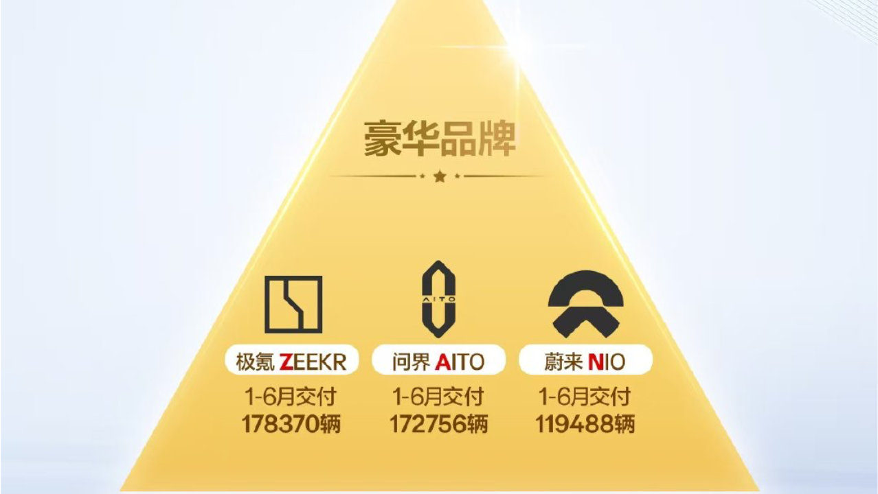极氪站稳“豪华品牌”阵营，9X摘得50万以上全车型NPS第一