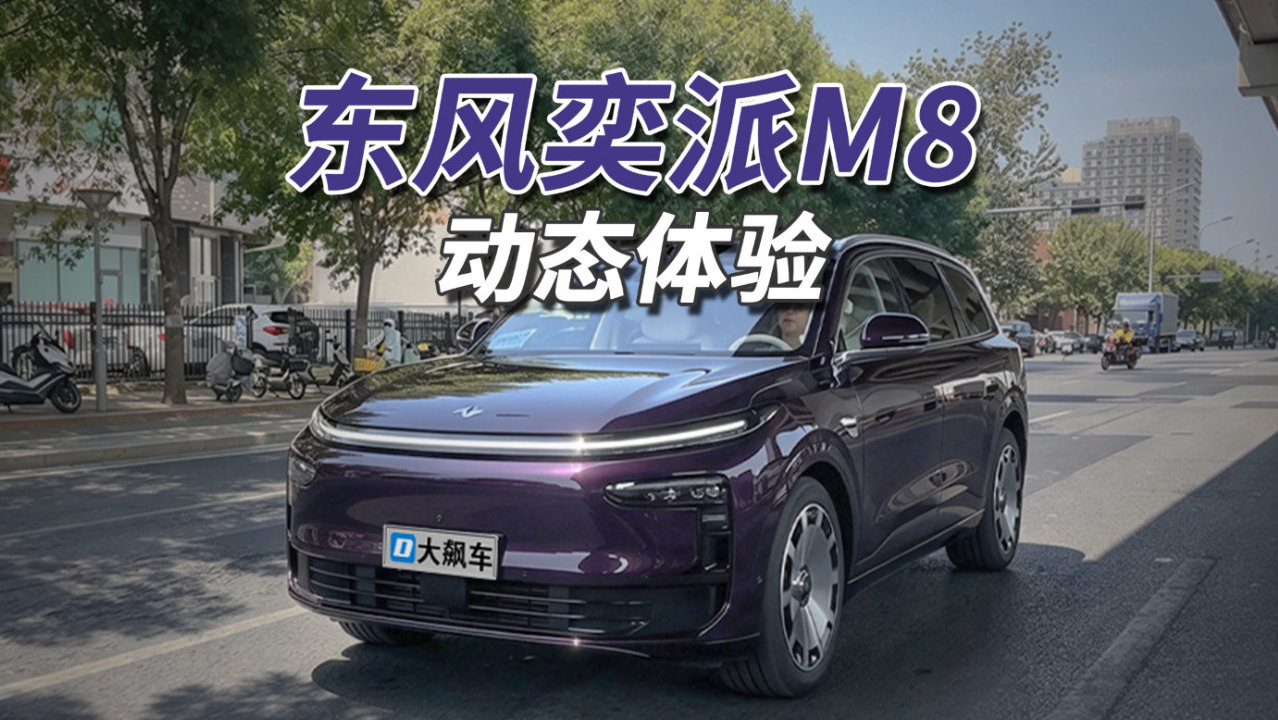 这种辅助驾驶，一旦用了，根本不想自己开车