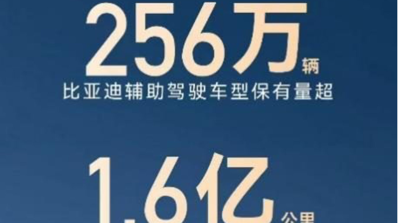 256 万 + 用户共同选择，比亚迪辅助驾驶跑出加速度