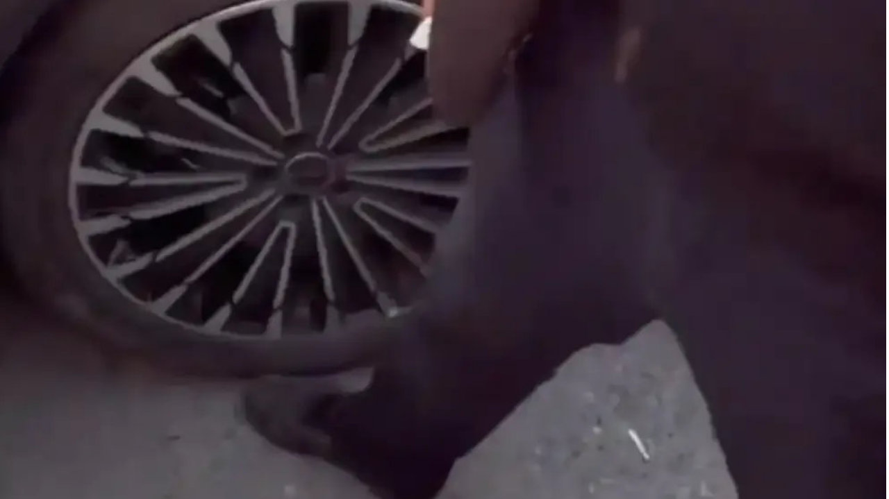 肉身拦车？汽车行业的315刺激过头了