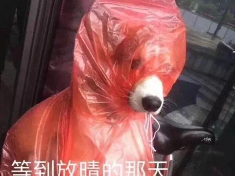 第二波“龙舟水”来了，再次提醒大家注意安全！