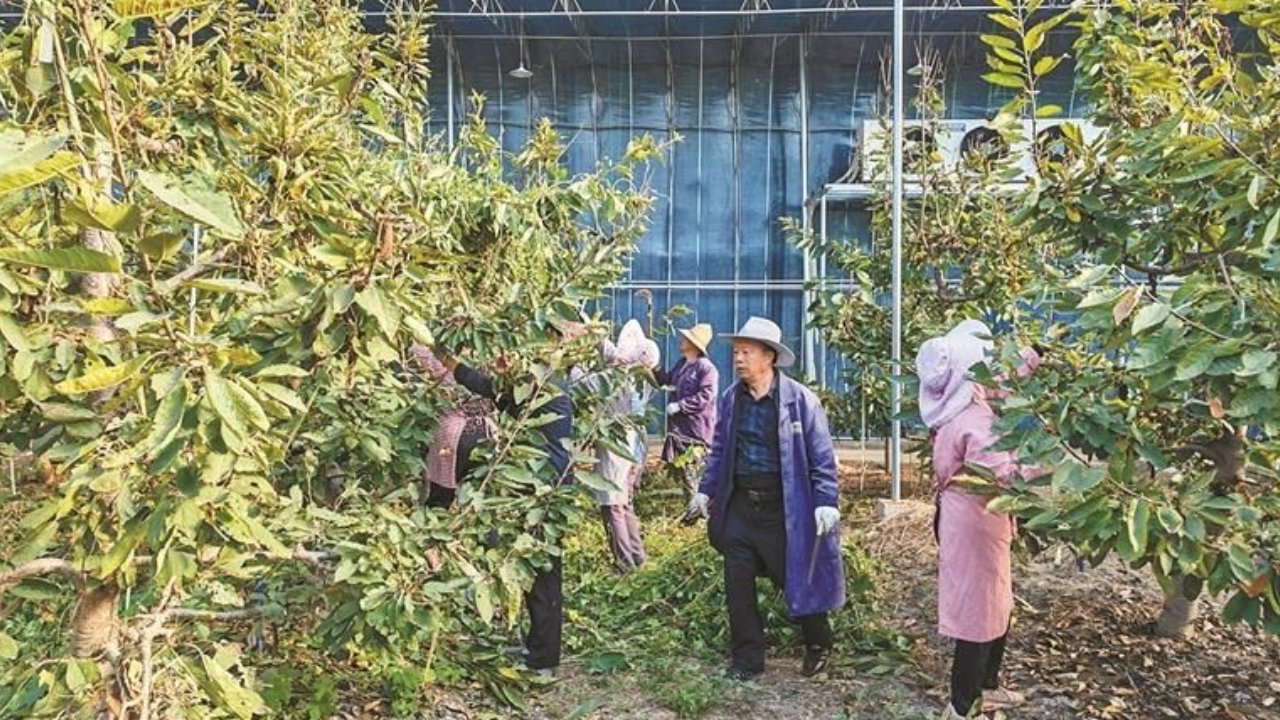 从“环境美”到“产业兴”——扶风以人居环境整治推动乡村全面振兴 从“环境美”到“产业兴”——扶风以人居环境整治推动乡村全面振兴