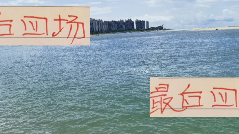 海港超级刺客莱昂纳多 定海神针蒋光太 都有三黄在身！