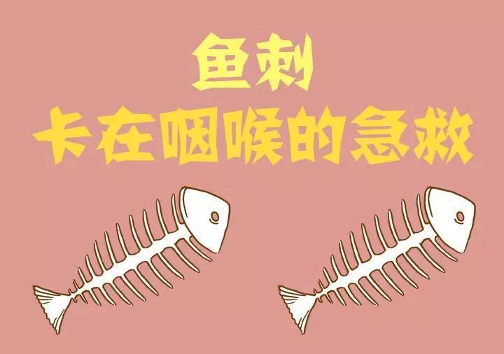 为什么鸭子下水之前要先喝口水？...