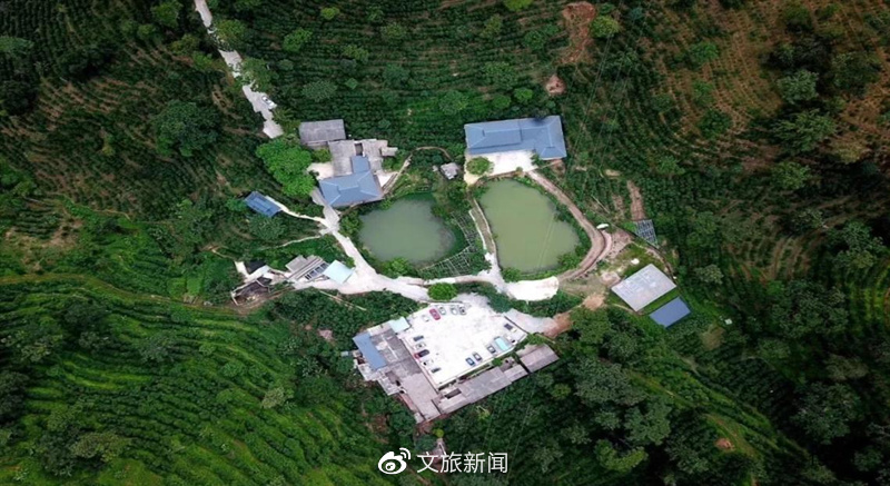 农文旅融合走出乡村振兴“普洱样板”开云APP 开云官网入口(图5)