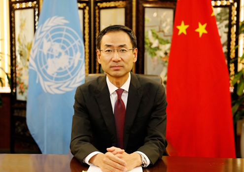卸任后首次亮相,耿爽履新背后责任重大