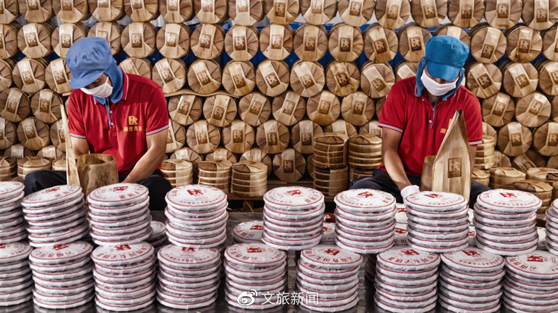 农文旅融合走出乡村振兴“普洱样板”开云APP 开云官网入口(图3)