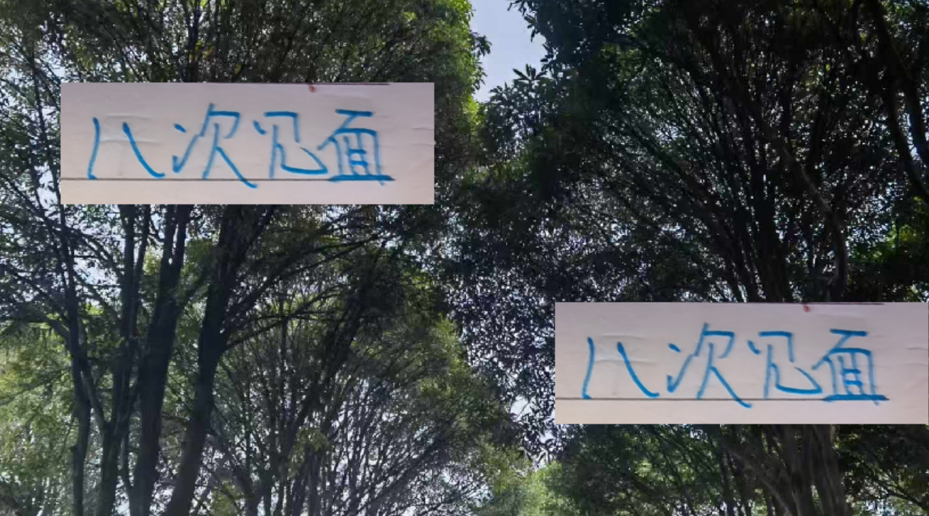 财务稳定成隐形引擎？解析海港与申花如何将零债务转化为赛场高频对决