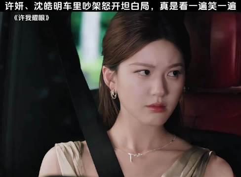 电视剧｜许我耀眼 许妍、沈皓明车里吵架怒开坦白局，真是看一遍笑一遍