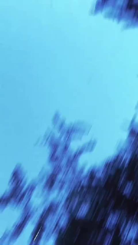 fyp 欧美 卡尔 行尸走肉 twd