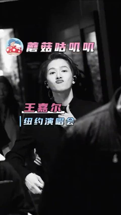 王嘉尔纽约万人演唱会！好多不同肤色的观众啊！
