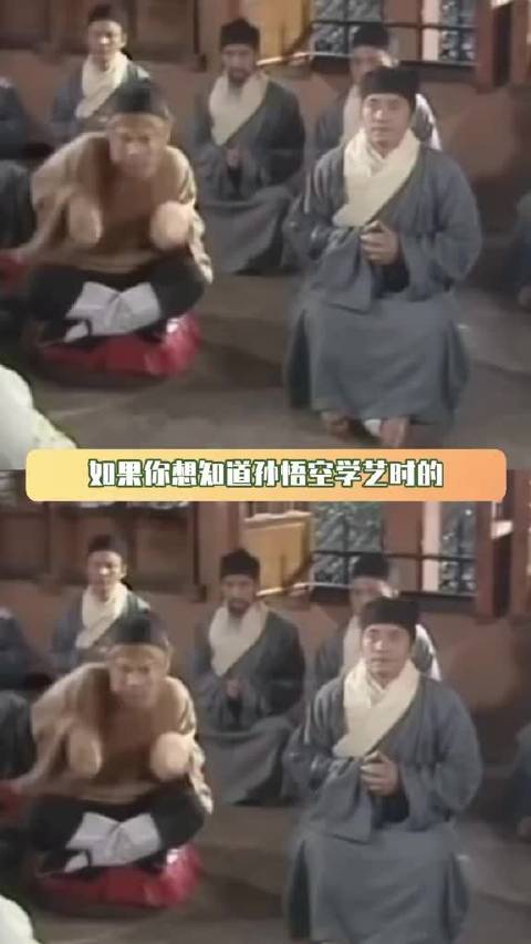 就问你们 哪个师兄看到可爱小猴儿心能不酥
