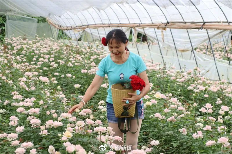 农文旅融合走出乡村振兴“普洱样板”开云APP 开云官网入口(图10)