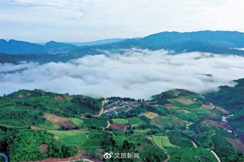 农文旅融合走出乡村振兴“普洱样板”开云APP 开云官网入口(图7)