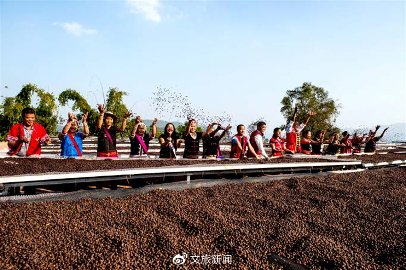 农文旅融合走出乡村振兴“普洱样板”开云APP 开云官网入口(图8)