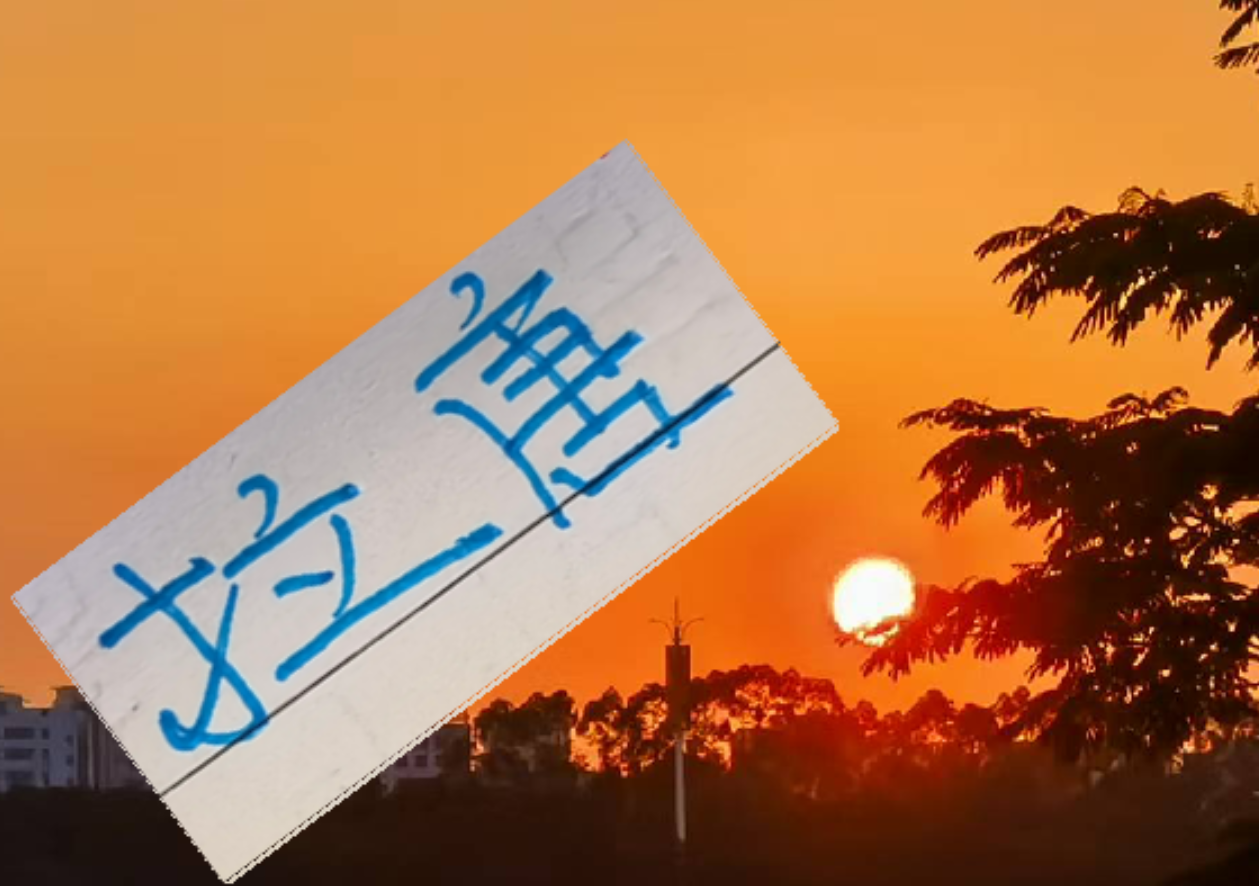 申花新外援拉唐与莱昂纳多相似引关注，这位“而立之年”射手能否解决球队进攻难题？