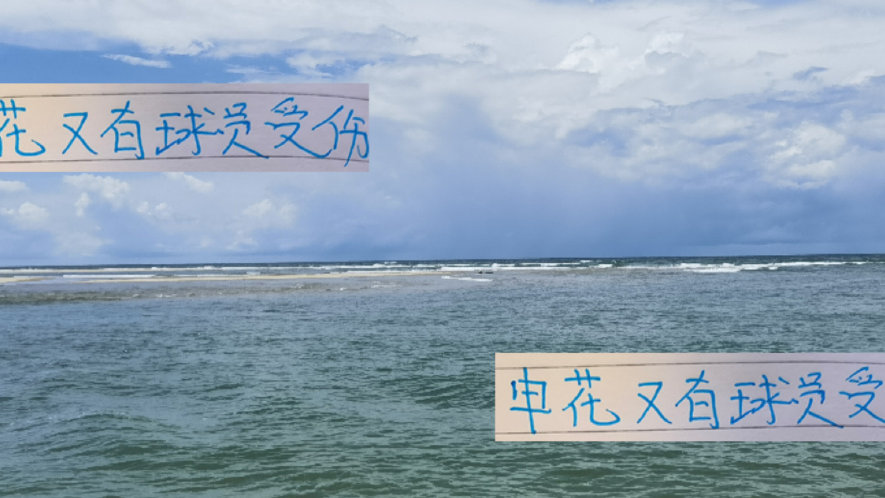 坏消息！蒋圣龙跟阿苏埃没打亚冠是受伤 好消息申花生死战都首发