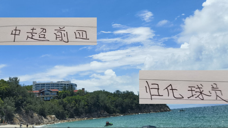 中超前 4 归化球员 还是北京国安塞鸟 表现最帅