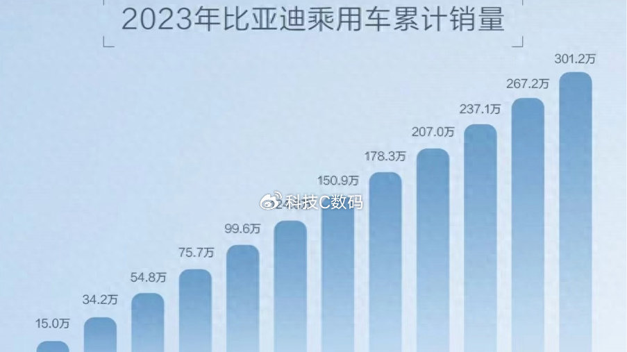 年销量超300万辆！比亚迪以绝对实力，问鼎销量冠军
