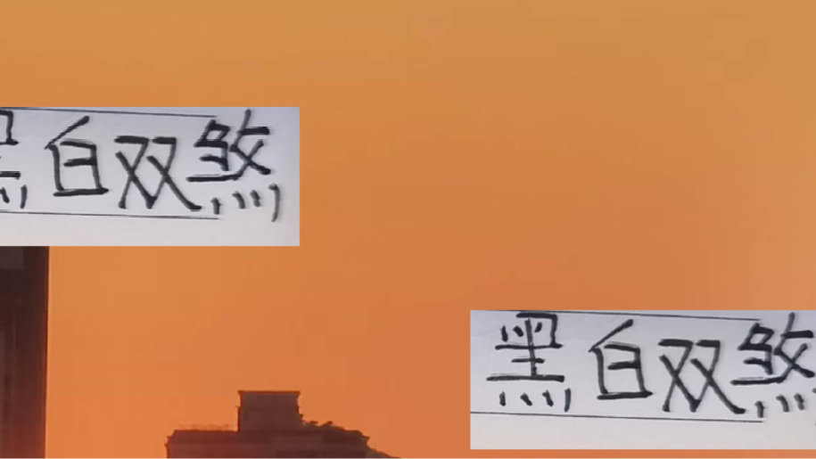 中超前四的黑白双煞！就是海港加布里+莱昂纳多最成功