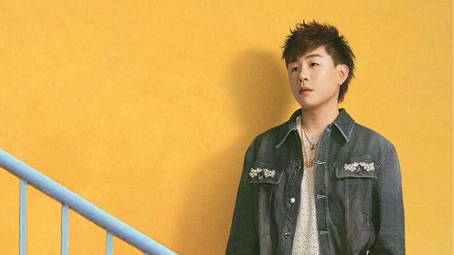 胡彦斌和维嘉的观点完全不同，到底谁对谁错，我觉得俩人都很片面