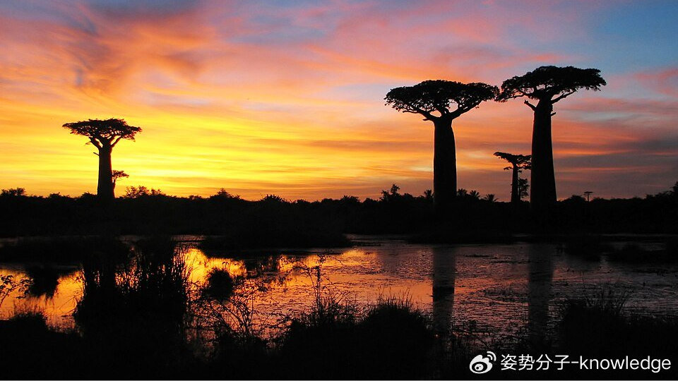 人均GDP仅563美元、总统跑路！动荡不已的马达加斯加，为啥这么穷