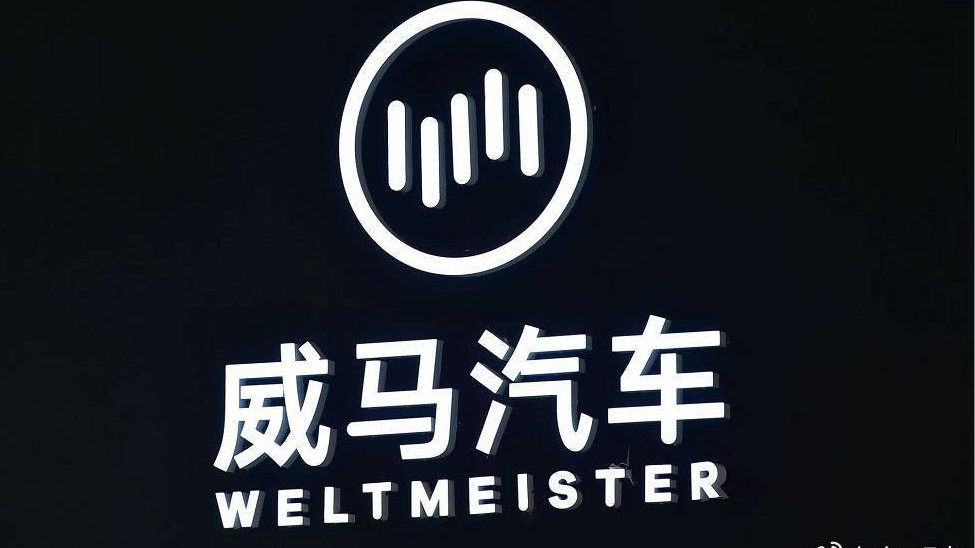 不愿他活的人要失望，威马汽车重整申请获受理，投资人“排队”