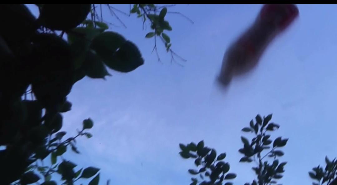 故意高空抛物砸伤楼下小孩!贵州一七旬老人专对孩子下手……法院宣判!休闲区蓝鸢梦想 - Www.slyday.coM 故意高空抛物砸伤楼下小孩!贵州一七旬老人专对孩子下手……法院宣判!休闲区蓝鸢梦想 - Www.slyday.coM