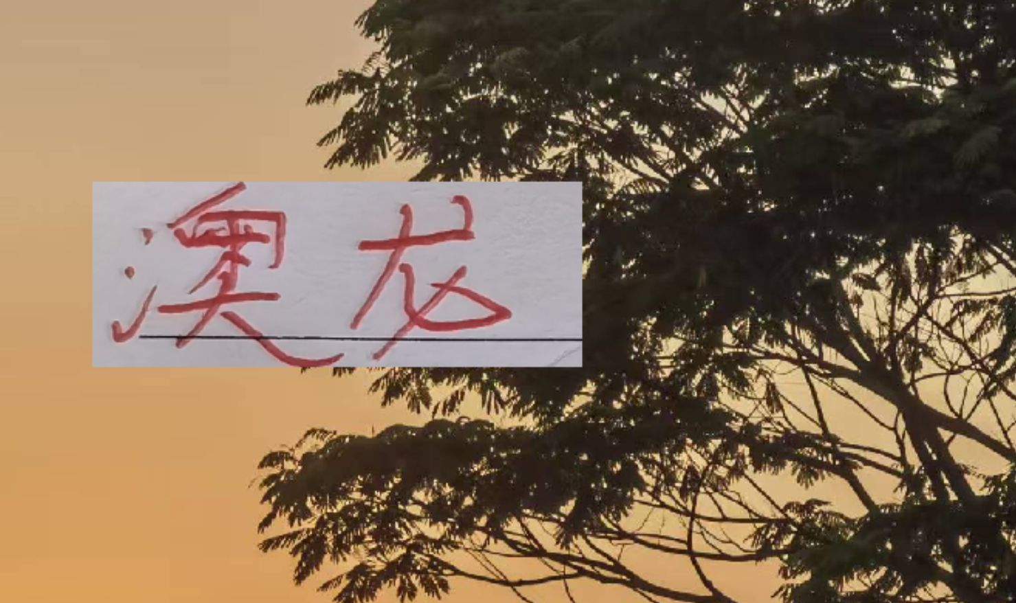 浙江队官宣签下海港冠军助教阿洛伊西，澳大利亚教练会否在中超掀起新一轮风潮？