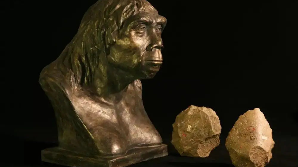 人类起源大揭秘 人类到底是怎么进化来的