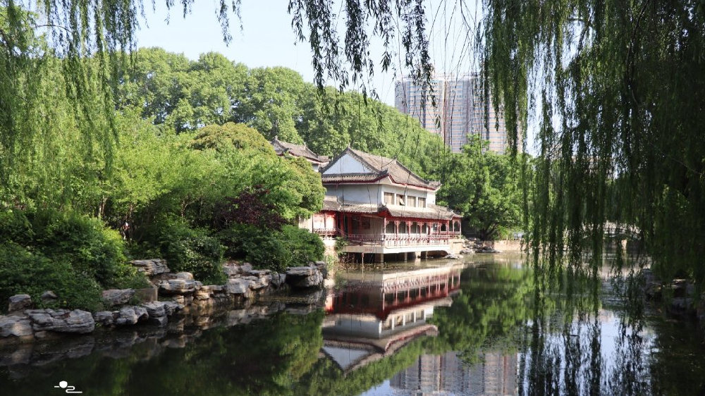 郑州的老牌旅游景点,是北方少有的园林式公园,尽显江南水乡情韵|人民公园|林中|公园_新浪新闻