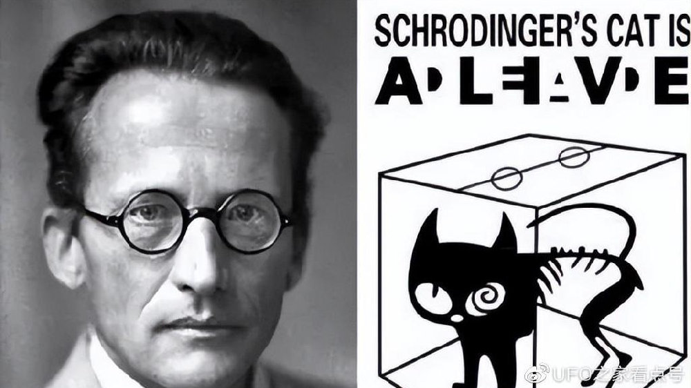 薛定谔的猫什么意思 宇宙与量子世界的关系
