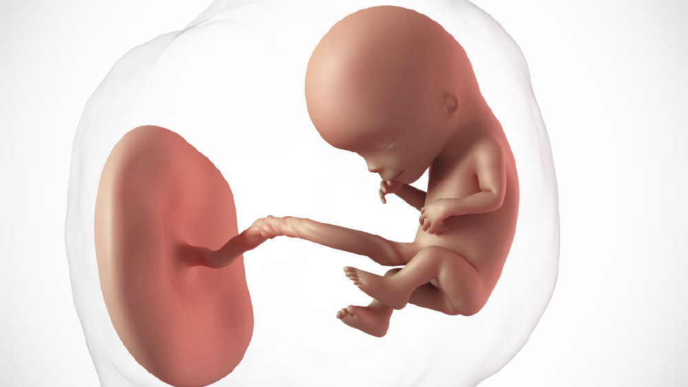 宝宝出生时，他们的干细胞要不要保存？