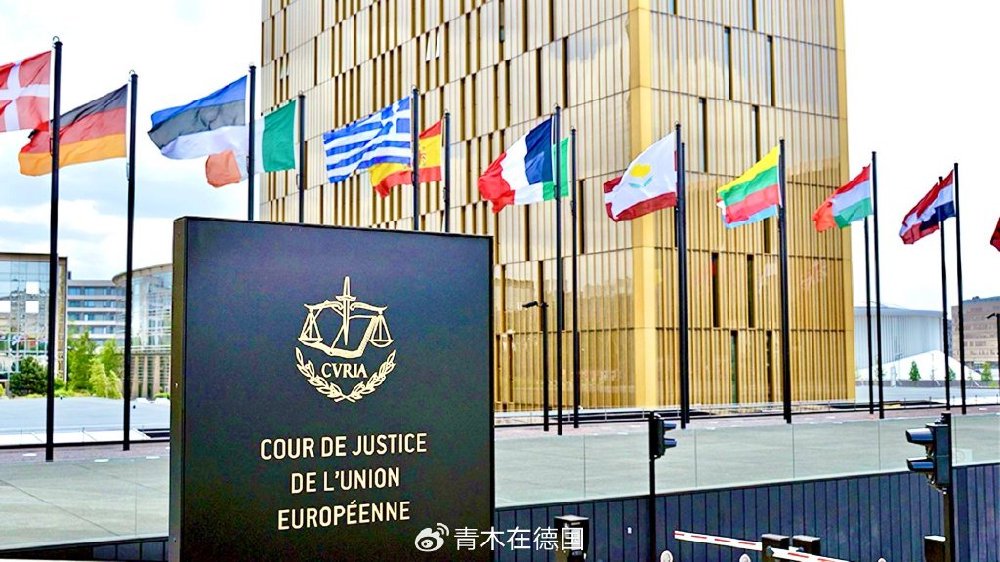 六大车企联手起诉欧盟，抵制中国电动车关税！