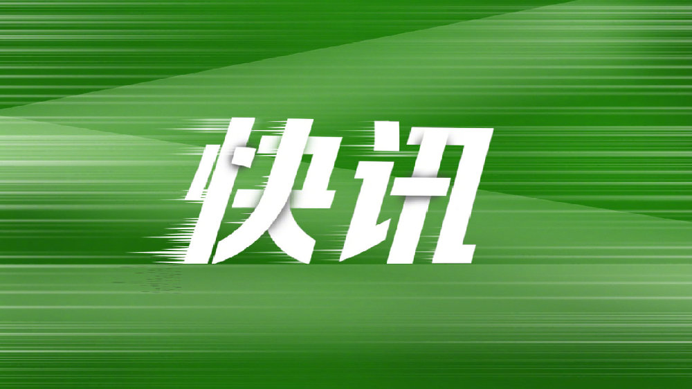 2025年4月车市销量概览