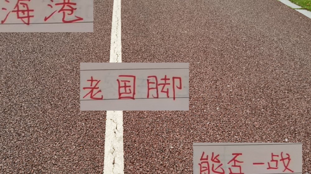 海港几个老国脚 除了蒋光太 基本上都很难捞到机会