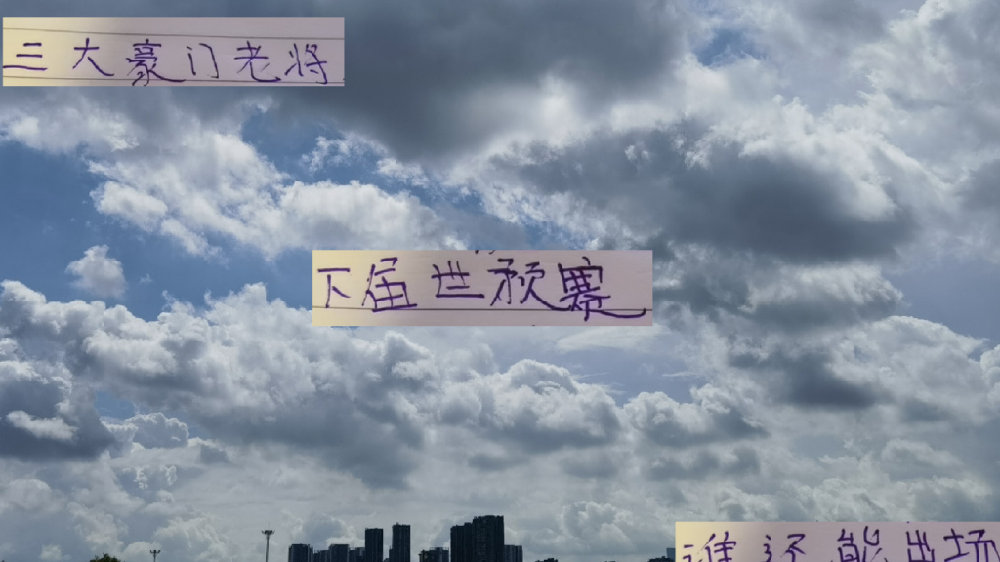 三大豪门老将 申花杨泽翔 海港武磊 北京国安塞鸟 下届还能为国效力吗