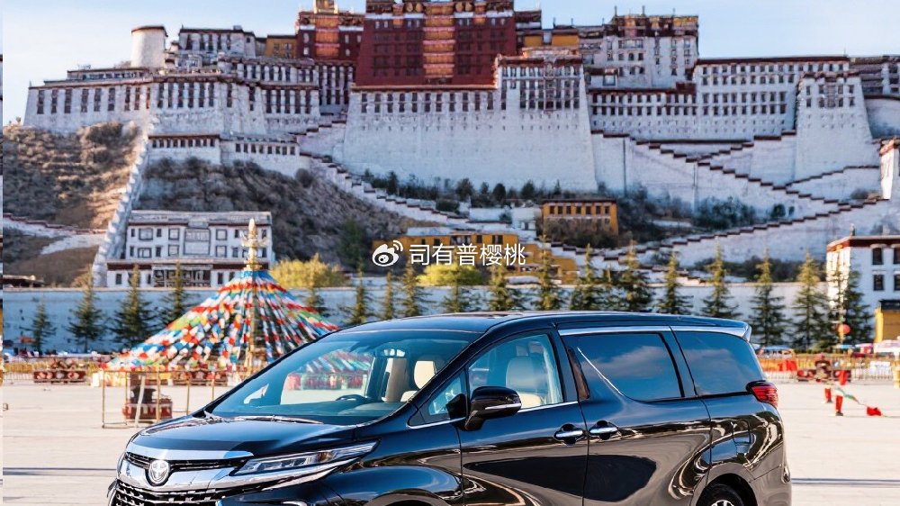 丰田埃尔法烧机油原因与解决方法